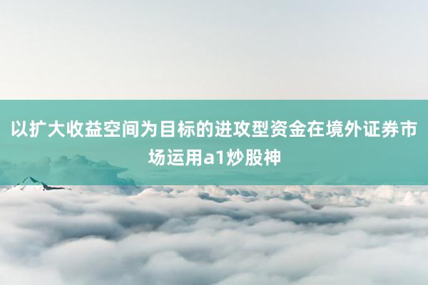 以扩大收益空间为目标的进攻型资金在境外证券市场运用a1炒股神